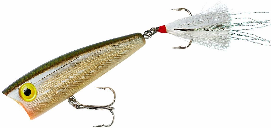 Rebel Pop-R Topwater Popper