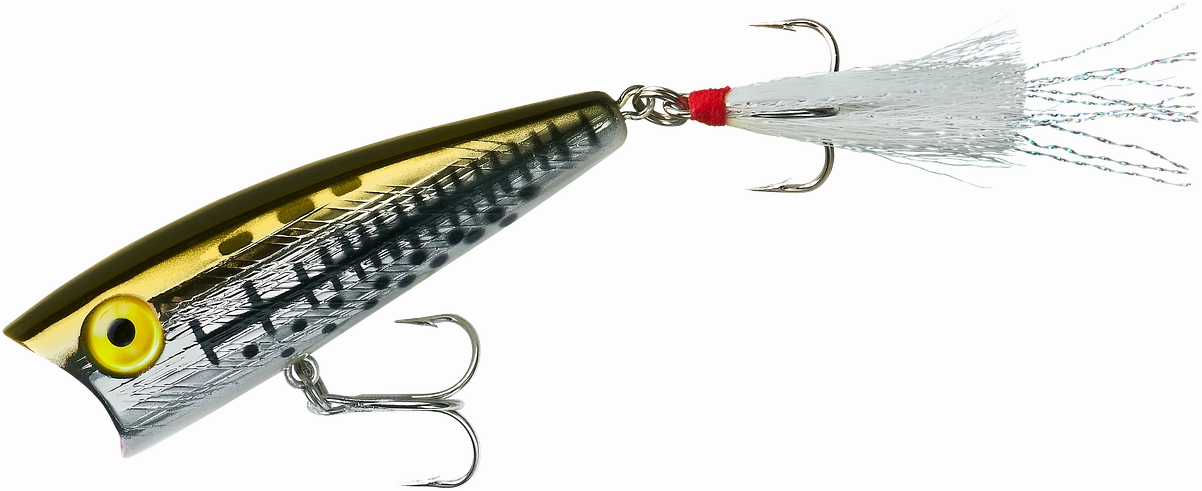 Rebel Pop-R Topwater Popper