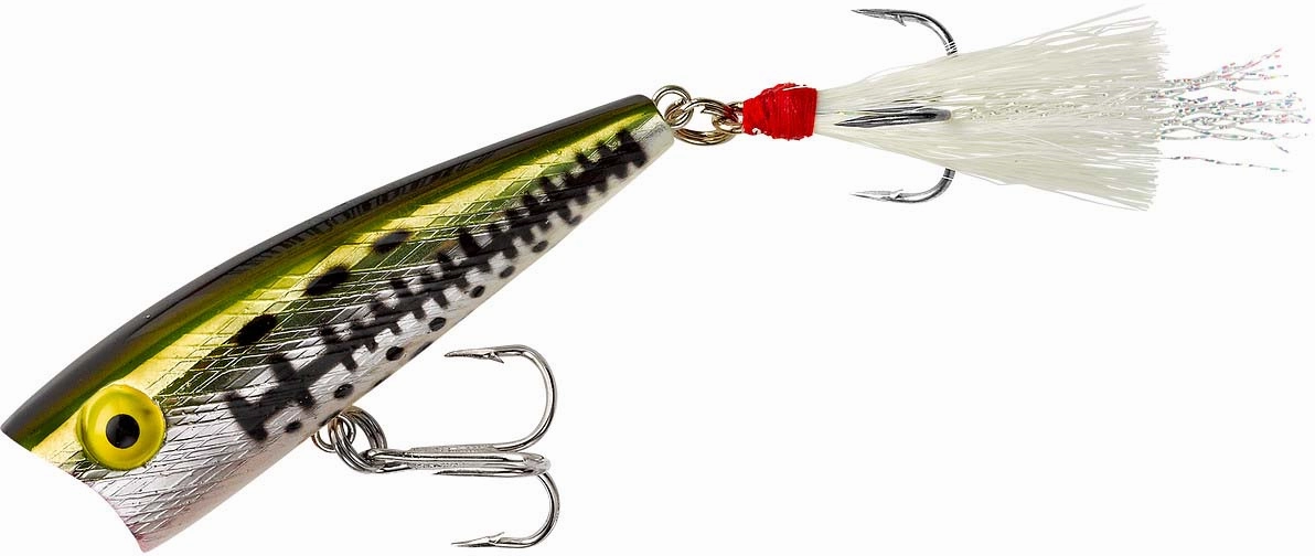 Rebel Pop-R Topwater Popper