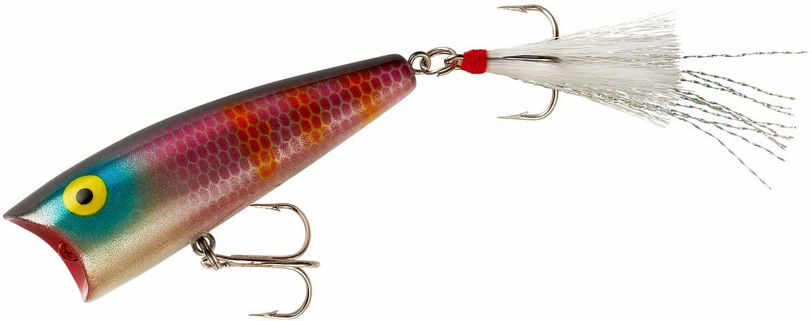 Rebel Pop-R Topwater Popper