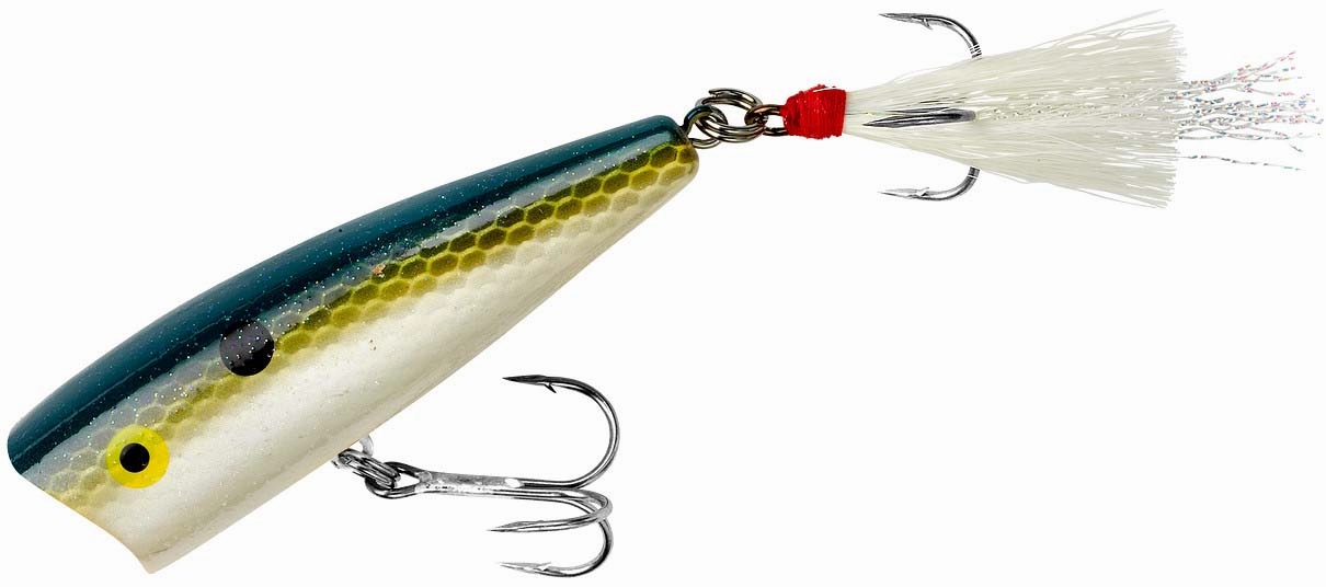 Rebel Pop-R Topwater Popper