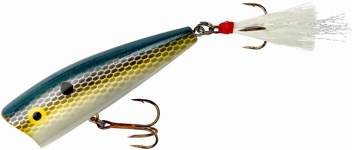 Rebel Pop-R Topwater Popper