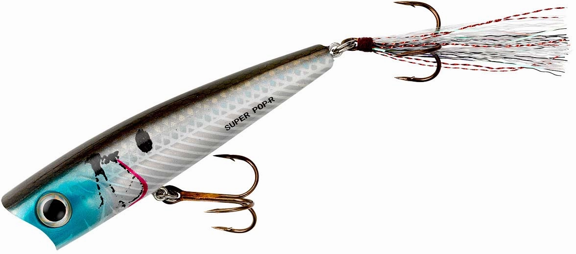 Rebel Super Pop-R 3 1/8 inch Topwater Popper