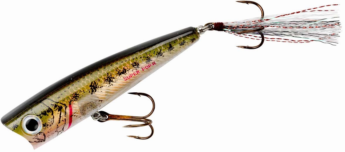 Rebel Super Pop-R 3 1/8 inch Topwater Popper