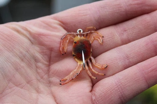 RHF Fleeing Sargasso Crab