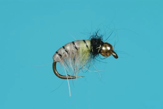 Rhyacophila Czech Nymph