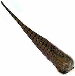 Ringneck Cock Tail Clump- Wapsi
