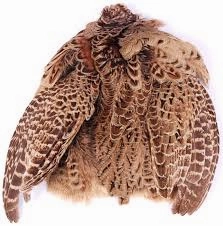 Ringneck Pheasant Skin
