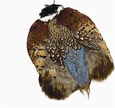 Ringneck Pheasant Skin