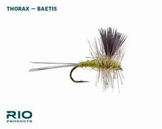 RIO BWO Dry Assortment