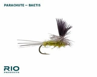 RIO BWO Dry Assortment