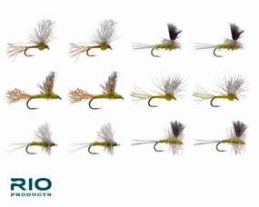 RIO BWO Dry Assortment
