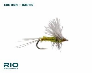 RIO BWO Dry Assortment