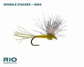 RIO BWO Dry Assortment