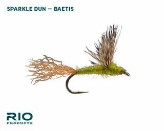 RIO BWO Dry Assortment