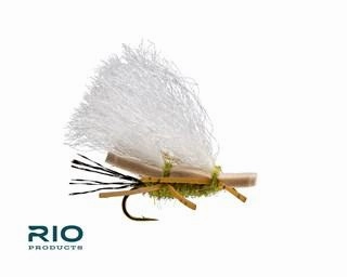 RIO Chubby Chernobyl