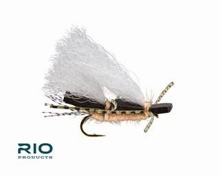 RIO Chubby Chernobyl