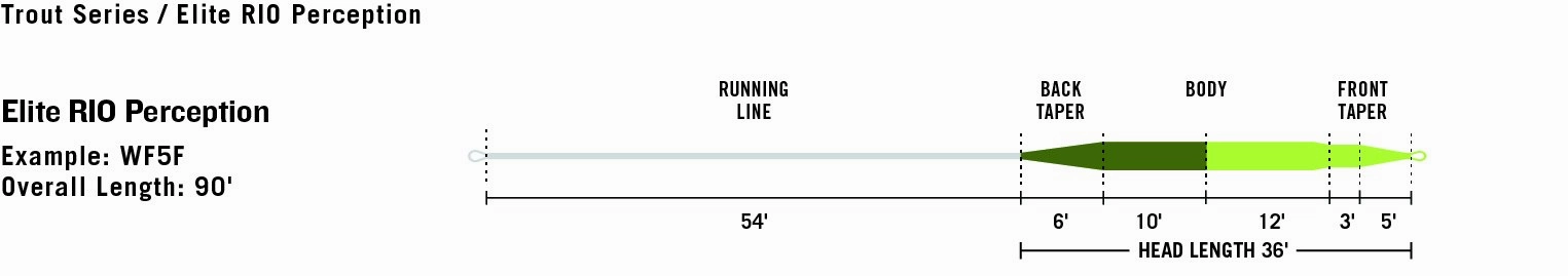 Rio Elite Perception Fly Line