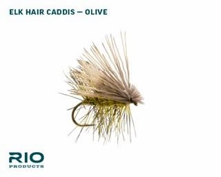 RIO Olive Caddis Dry Assortment