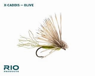 RIO Olive Caddis Dry Assortment