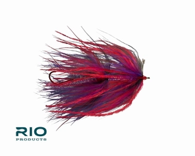 Rio's Trailer Trash- Nightshade size 1