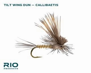 RIO Stillwater Assortment