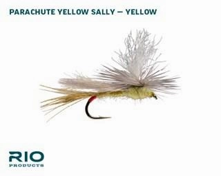 RIO Yellow Sally Dry Assortment