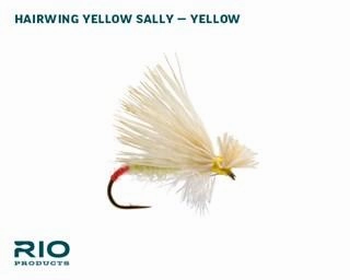 RIO Yellow Sally Dry Assortment