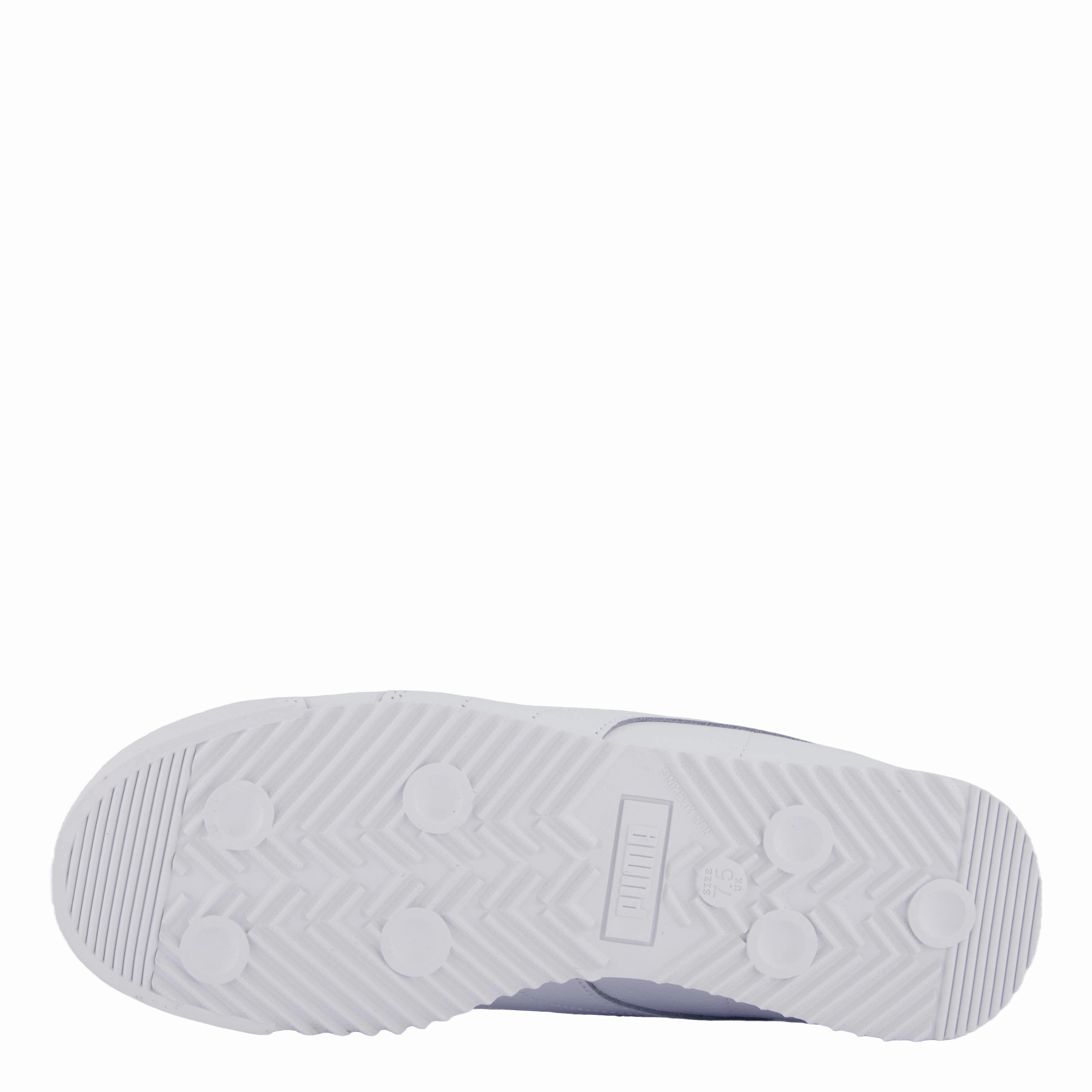Roma 24 Standard White Water Resistant