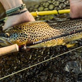 Sage R8 Classic Fly rod