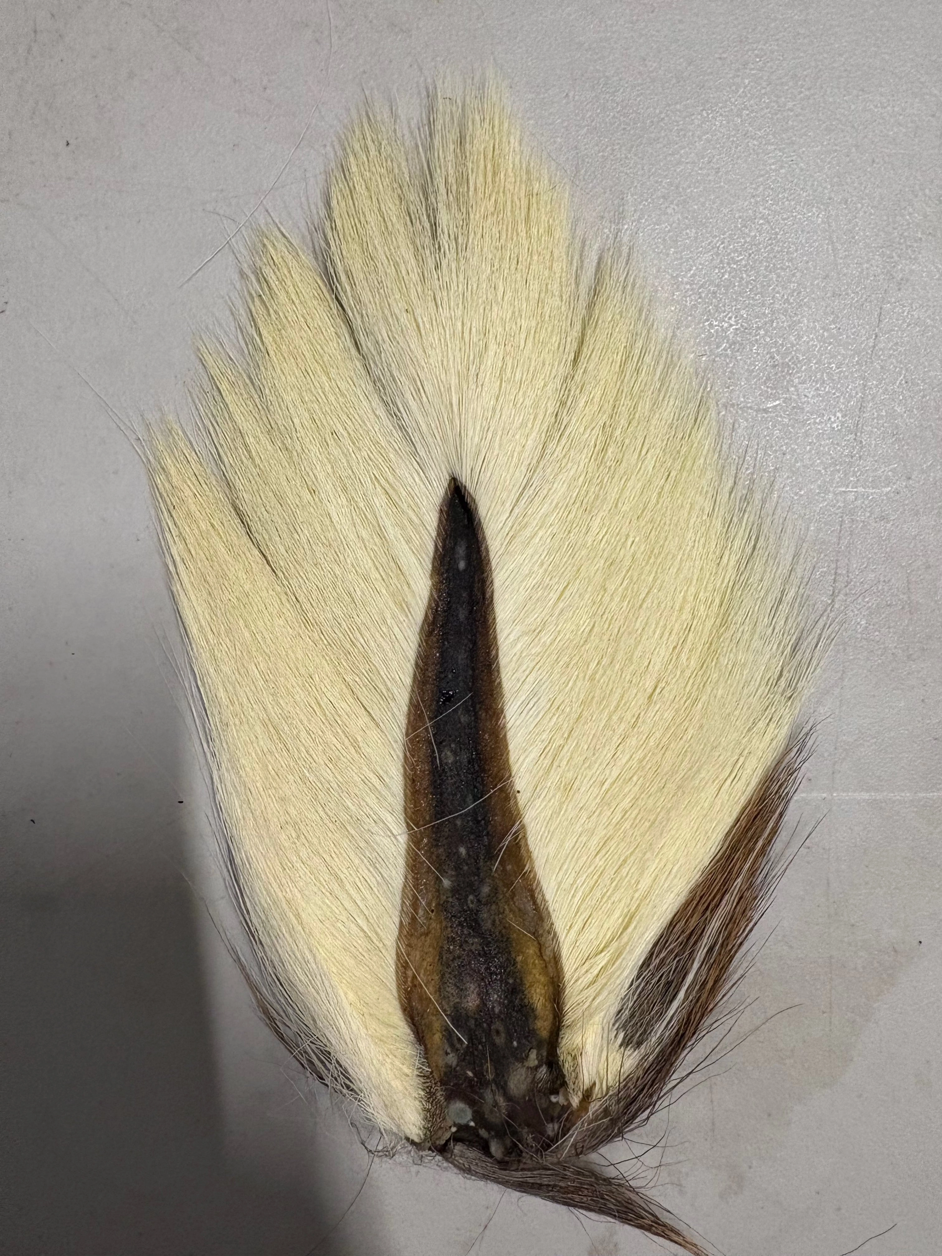 Saltwater Edge Bucktail