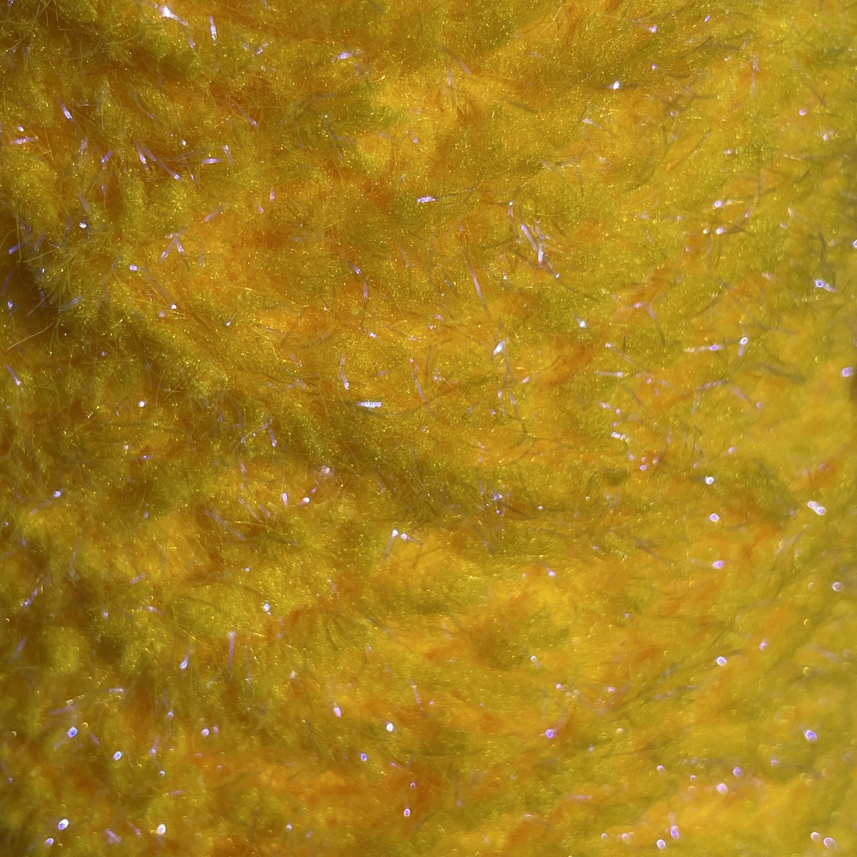 Semperfli EggStatic Egg Fritz 8mm