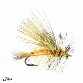 Silvey's Yellow Sally