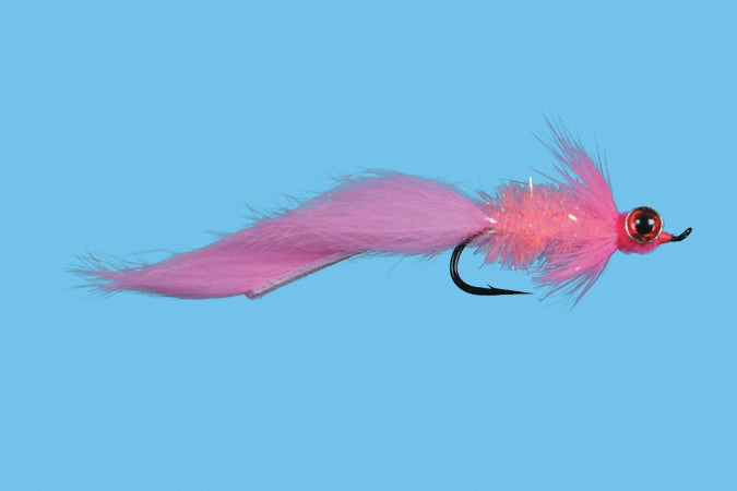Solitude Starlight Leech
