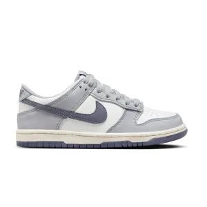 Kids Dunk Low 'Platinum Tint' Streetwear Footwear Daylong Comfort