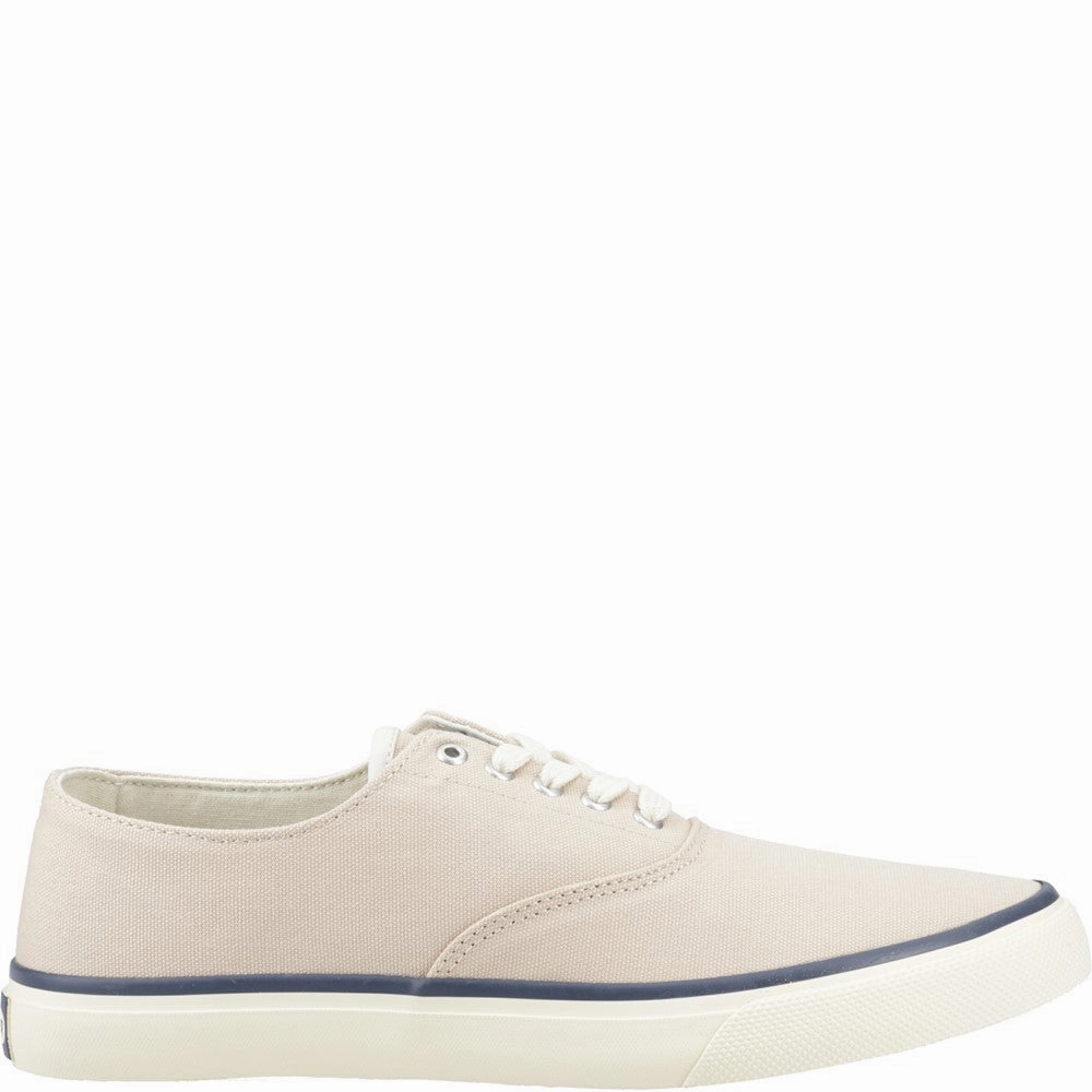 Sustainable Sperry Cvo Trainer