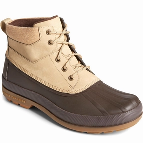 Daylong Comfort Minimalist Sperry Cold Bay Chukka