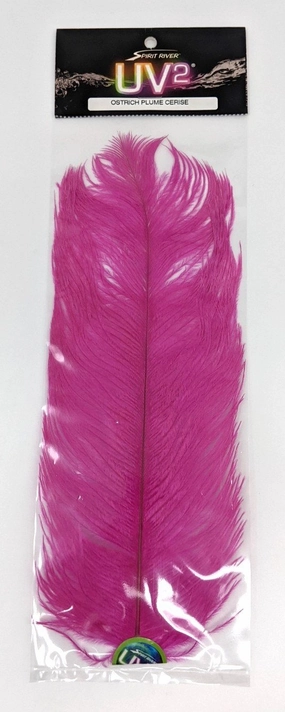 Spirit River Ostrich Plumes