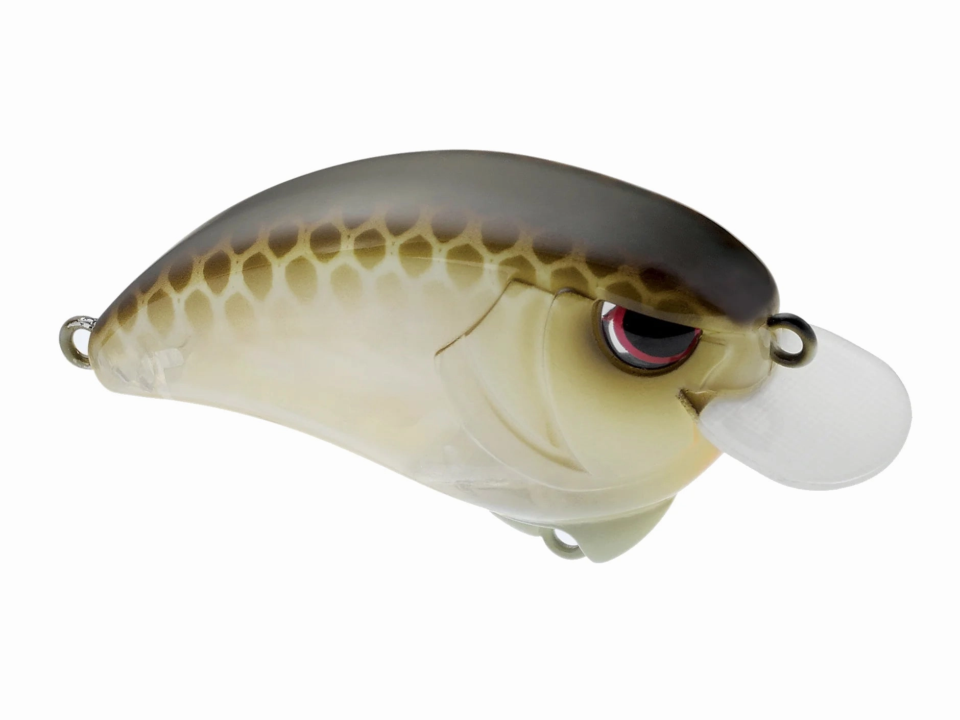 SPRO Outsider Crank SR 55 Crankbait