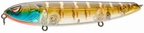 SPRO Walking Haint 125 Topwater Walker - 5 Inch