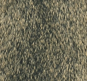 Squirrel Body Piece - Wapsi