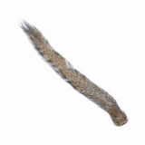 Squirrel Tail - Wapsi/Veniard