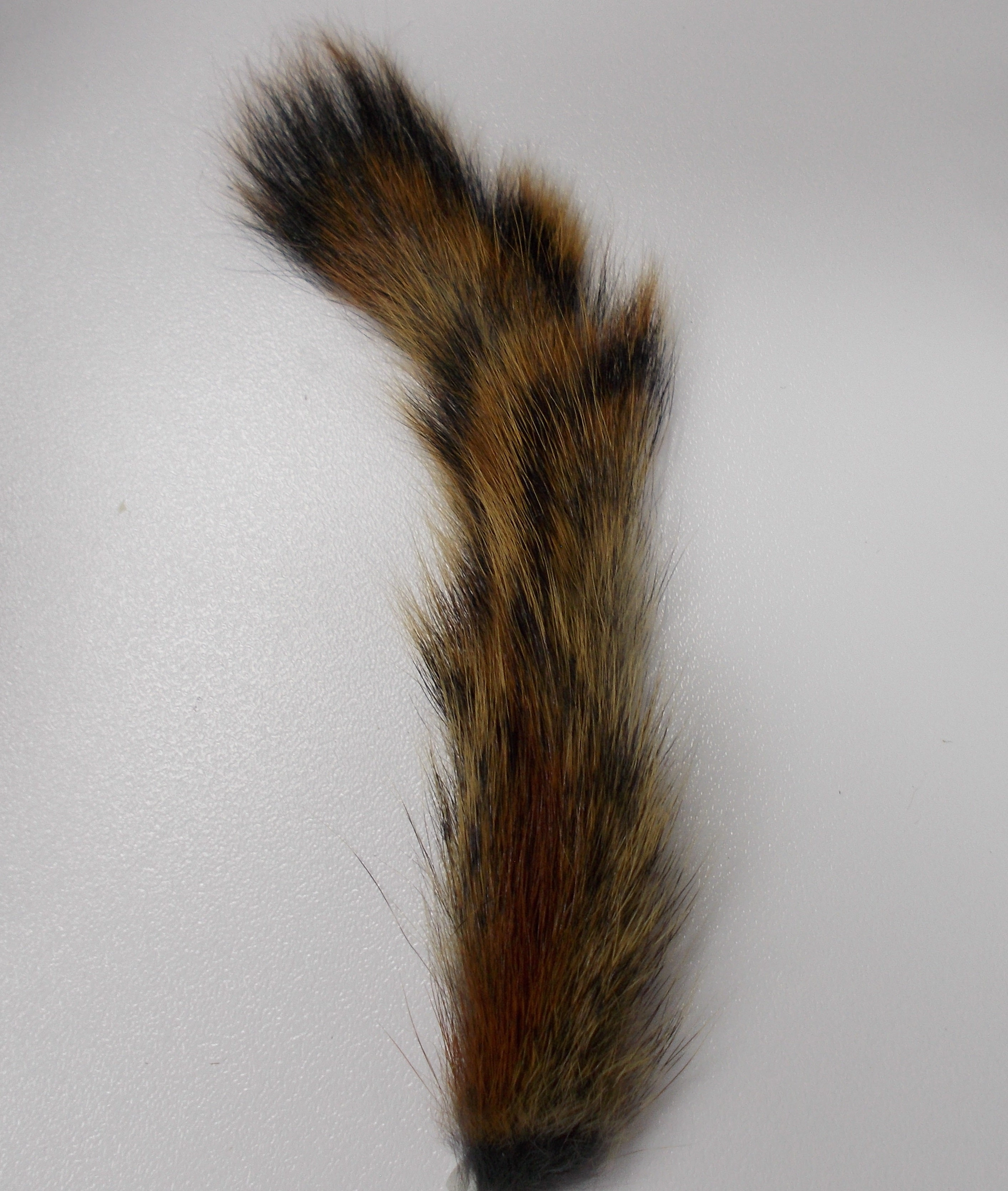 Squirrel Tail - Wapsi/Veniard