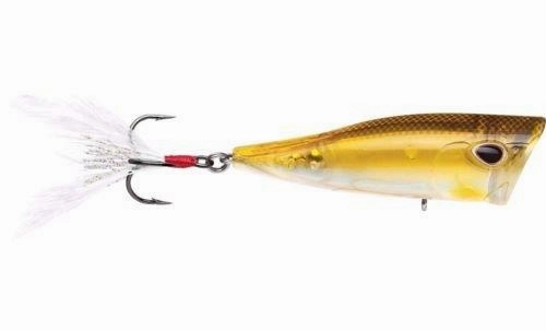Storm Arashi Cover Pop 3 1/8 inch Topwater Popper