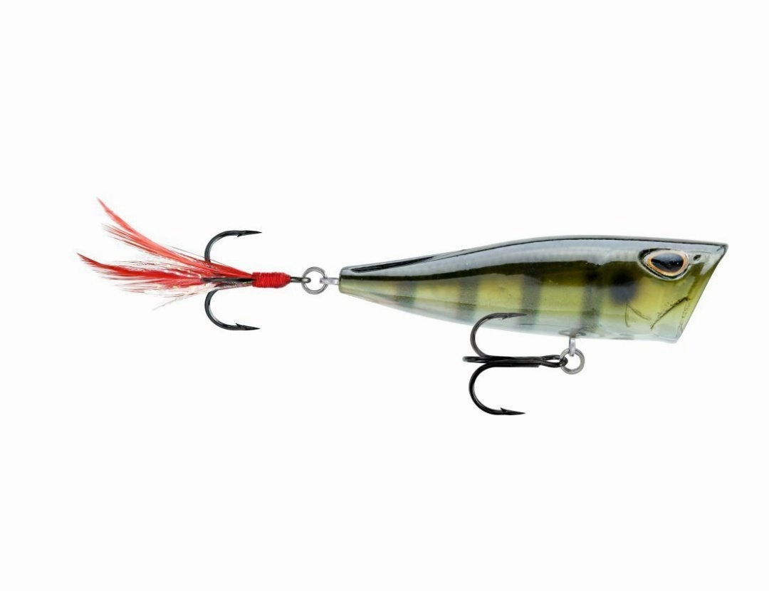 Storm Arashi Cover Pop 3 1/8 inch Topwater Popper