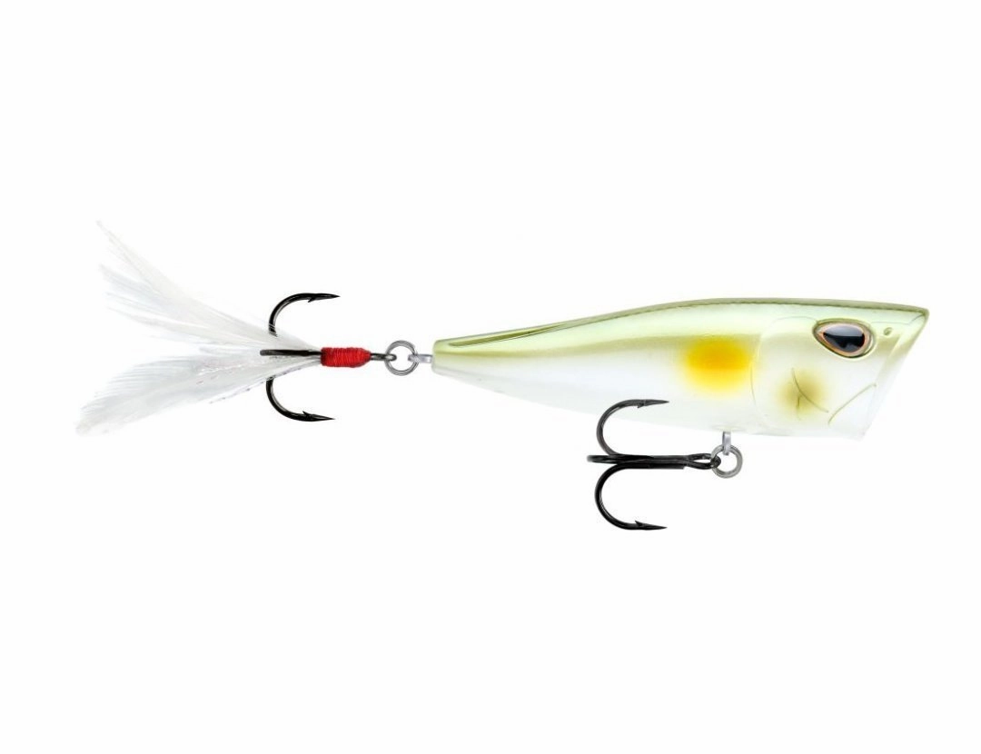 Storm Arashi Cover Pop 3 1/8 inch Topwater Popper