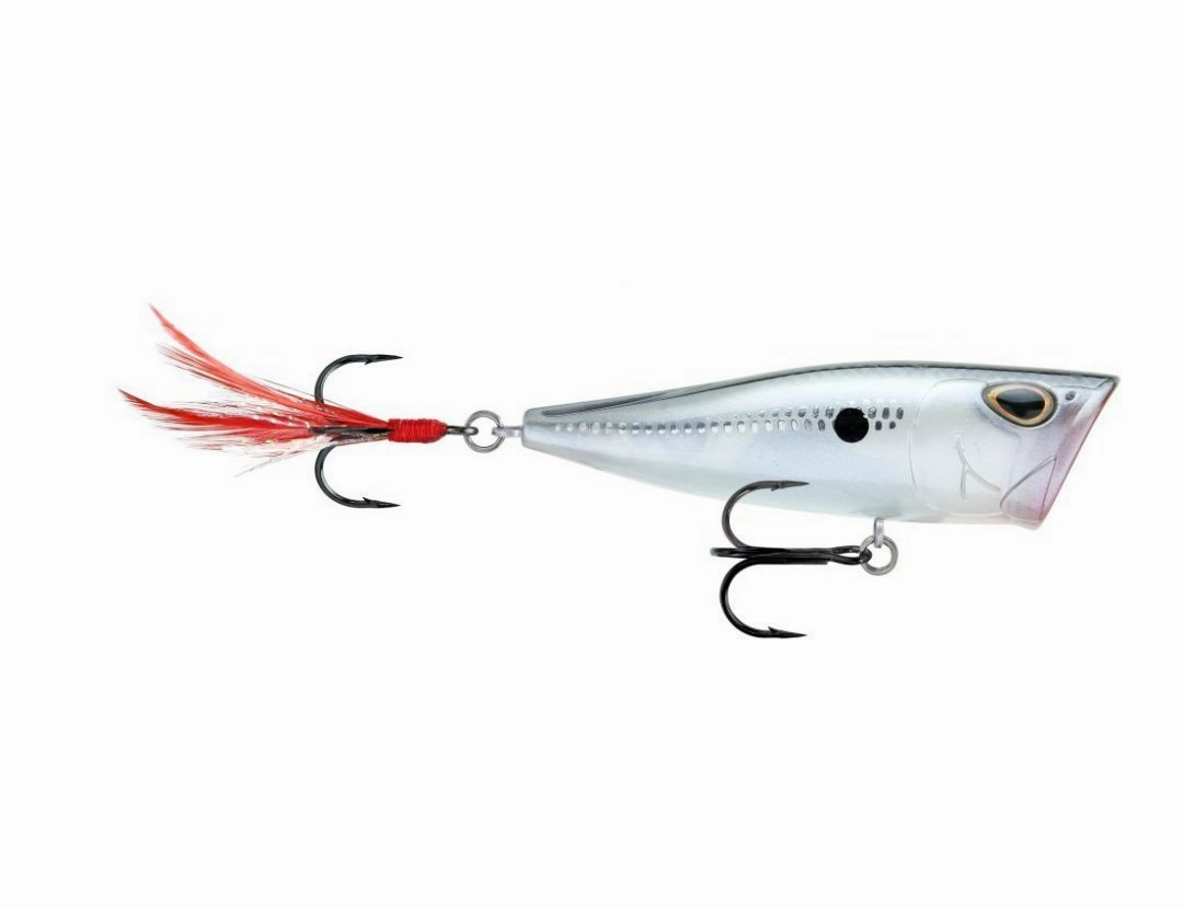 Storm Arashi Cover Pop 3 1/8 inch Topwater Popper