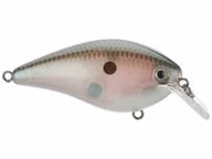 Strike King KVD 1.5 Hard Knock Squarebill Crankbait