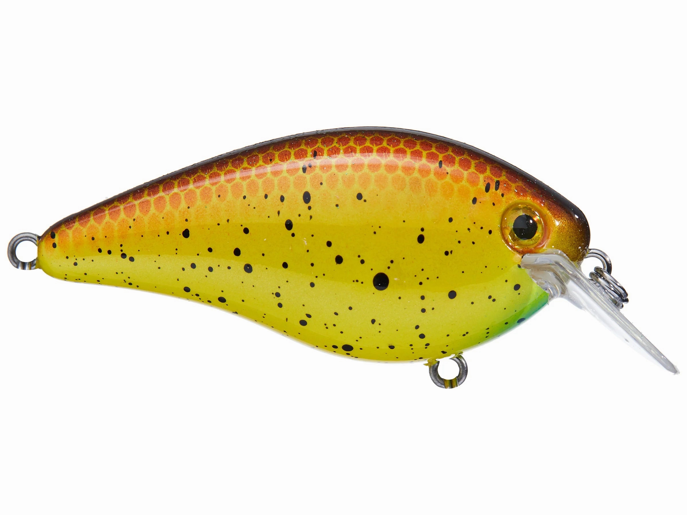 Strike King KVD 1.5 Hard Knock Squarebill Crankbait