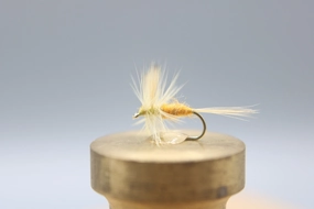 Sulphur Dry